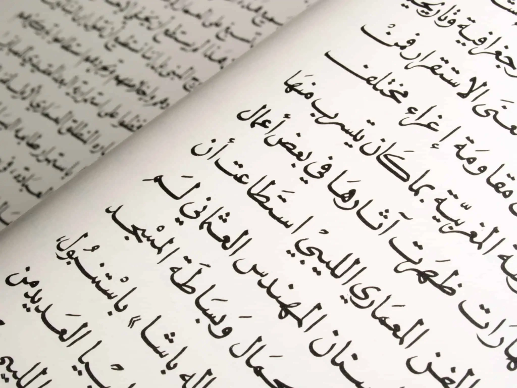 The Arabic language