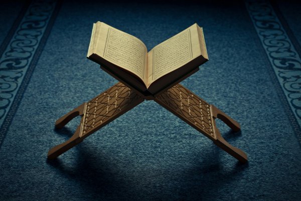 Hifz Program for Adults: A Path to Memorizing the Quran