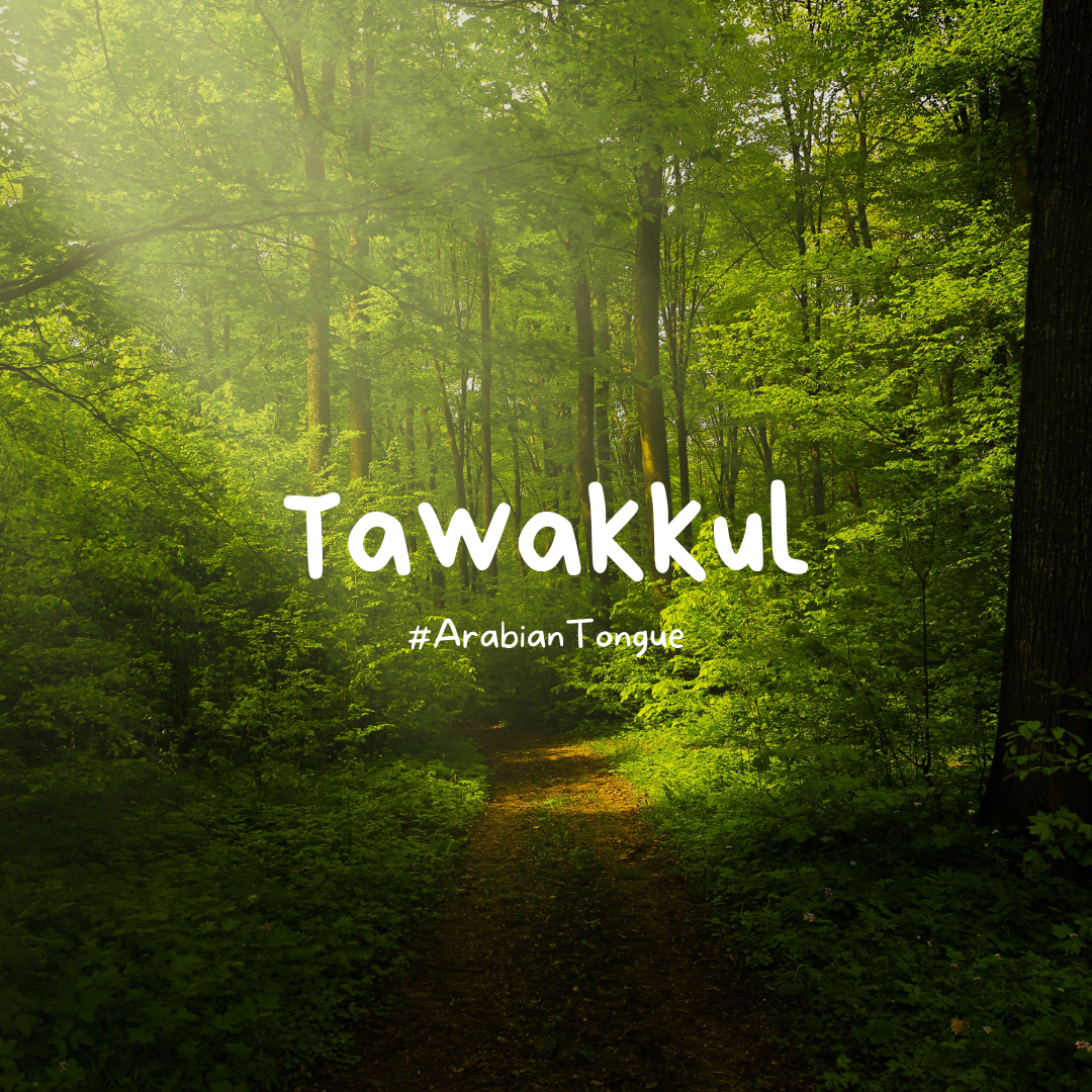 Understanding Tawakkul: Trusting in Allah