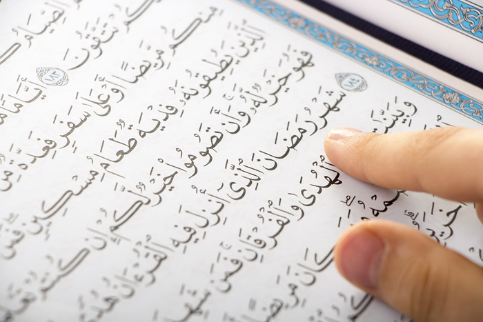 The Holy Quran