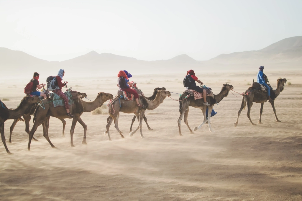 Group of Arabs riding camels