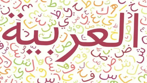 Steps learn arabic language for beginners in english