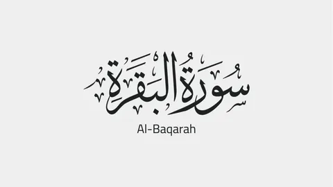 surah baqarah last two ayat benefits